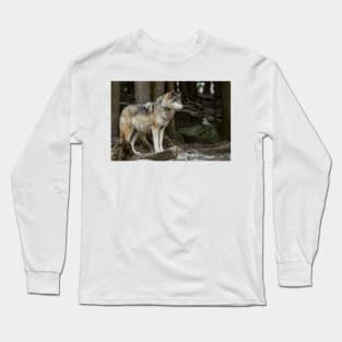 Eastern Gray Wolf Long Sleeve T-Shirt